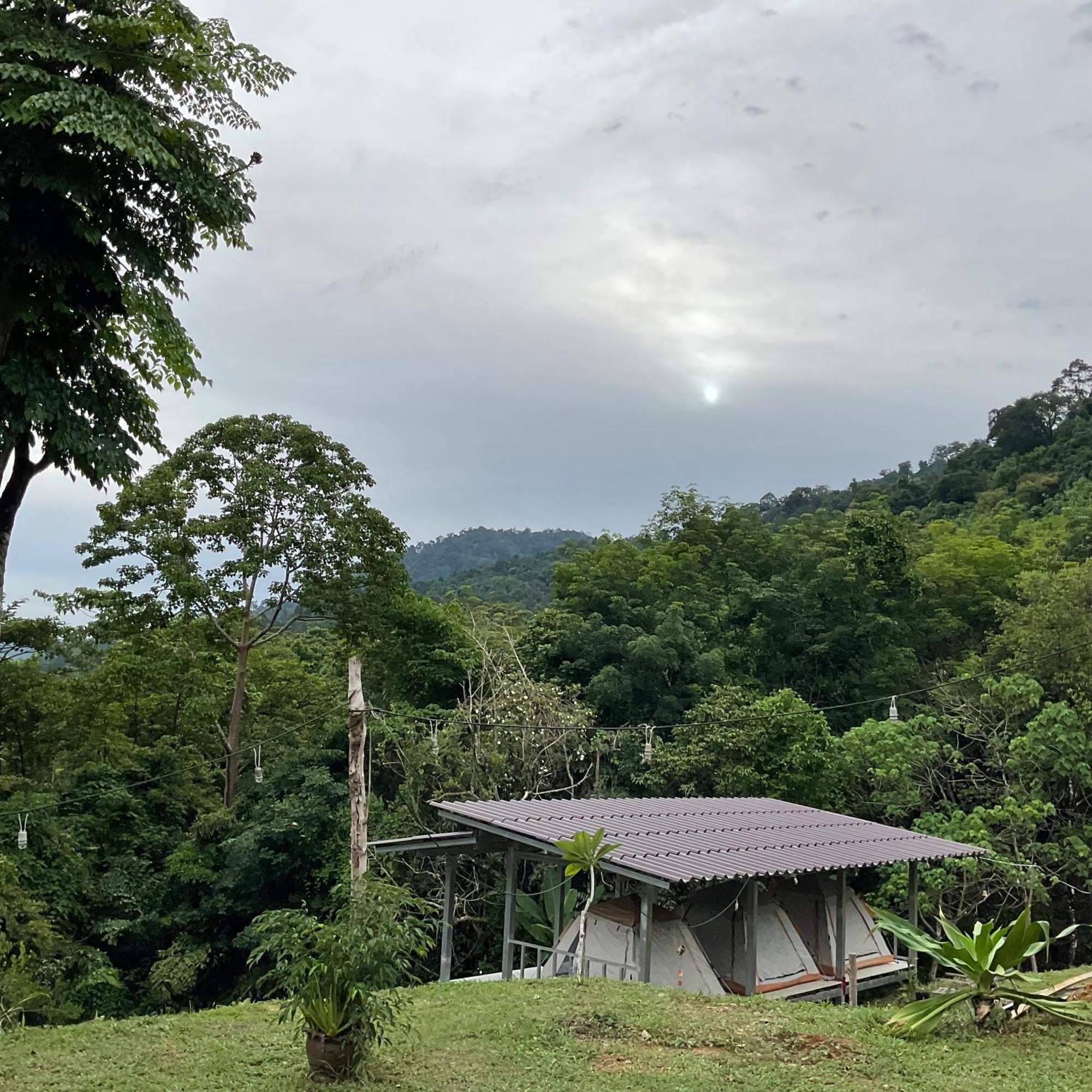 Khao Sok Hill Top Resort Khao Sok National Park Eksteriør bilde