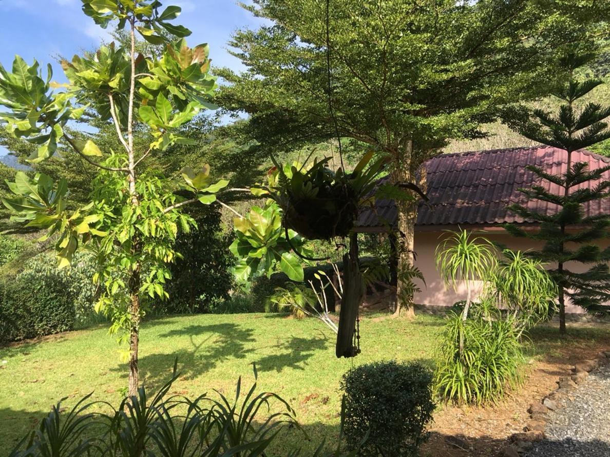 Khao Sok Hill Top Resort Khao Sok National Park Eksteriør bilde