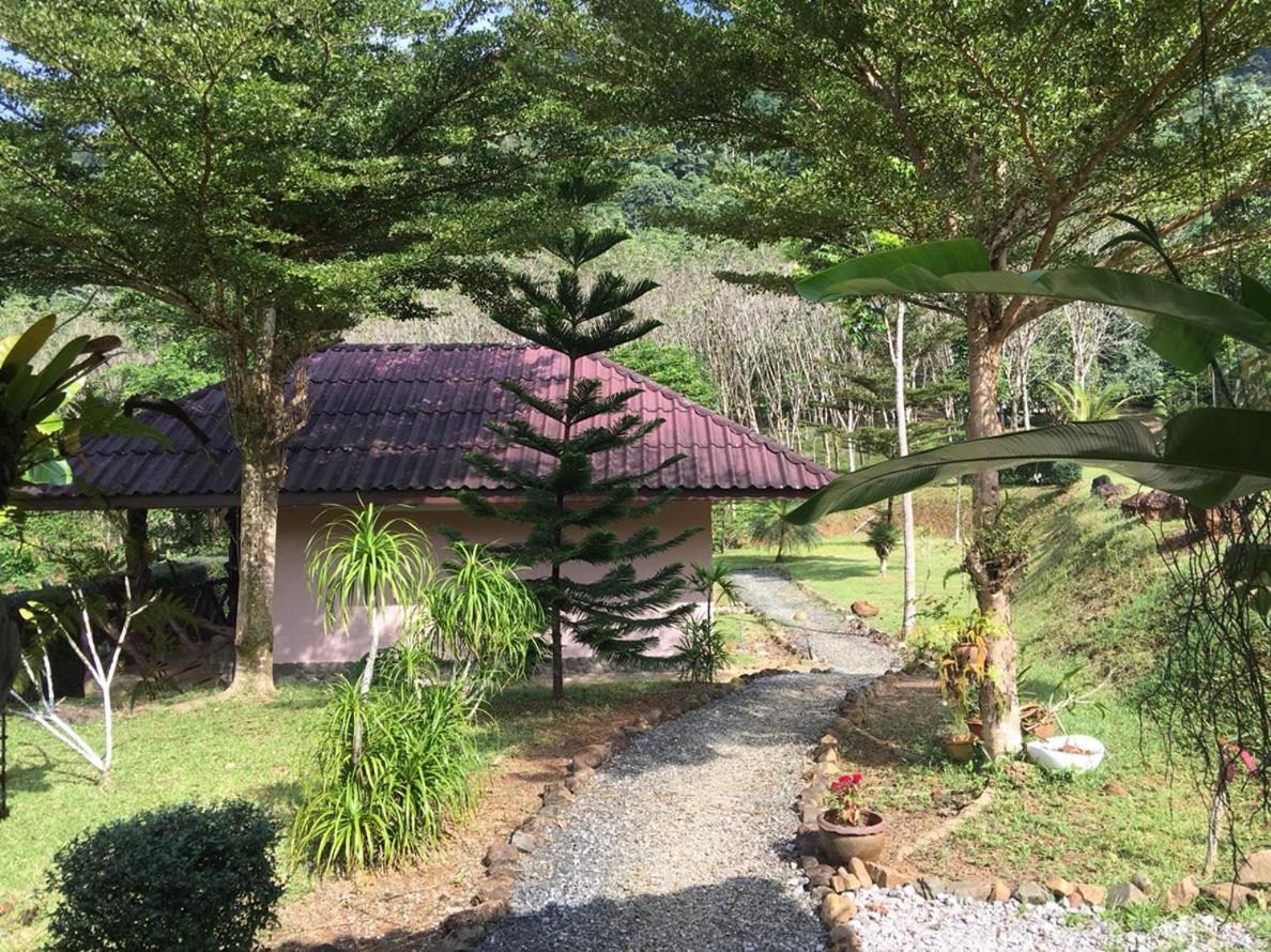 Khao Sok Hill Top Resort Khao Sok National Park Eksteriør bilde